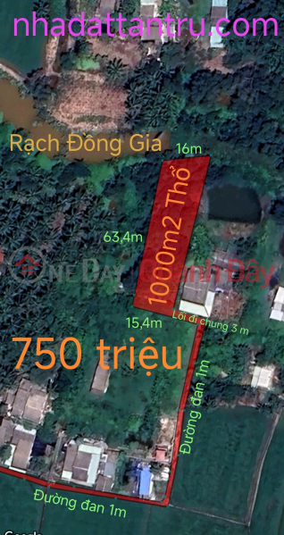 Urgent sale of Tan Tru plot of land with bank loan price of 1 billion reduced to 750 million Sales Listings