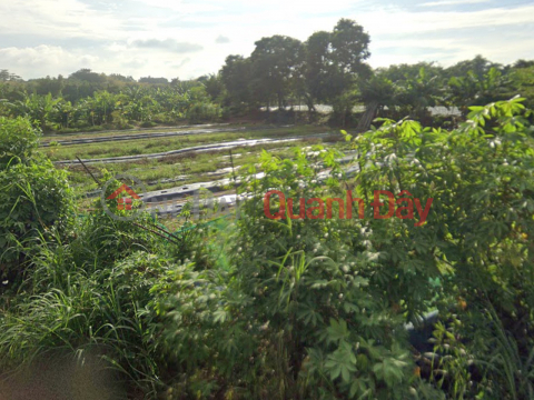 Đất Mặt tiền SHR HXH 1194m2 – Đông Thạnh 2-5 Hóc Môn _0