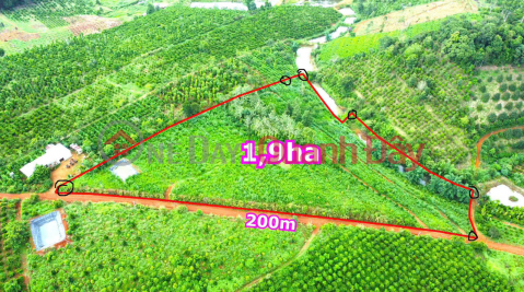 Owner sells 1500m2 durian plot for only 220 million in Gia Nghia city, Dak Nong _0