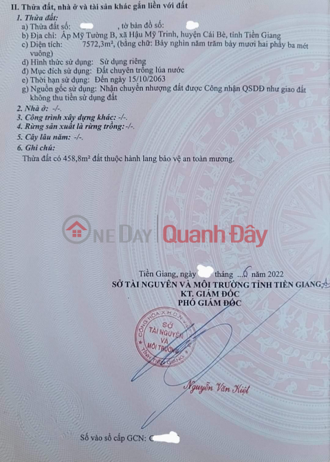 CHÍNH CHỦ Bán 8 Công Đất – Giá Cực Rẻ Tại Cái Bè, Tiên Giang _0