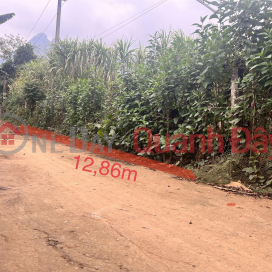 Beautiful Land - Good Price - Owner Needs to Sell Land Lot in Beautiful Location in My Hoa - Tan Lac - Hoa Binh _0