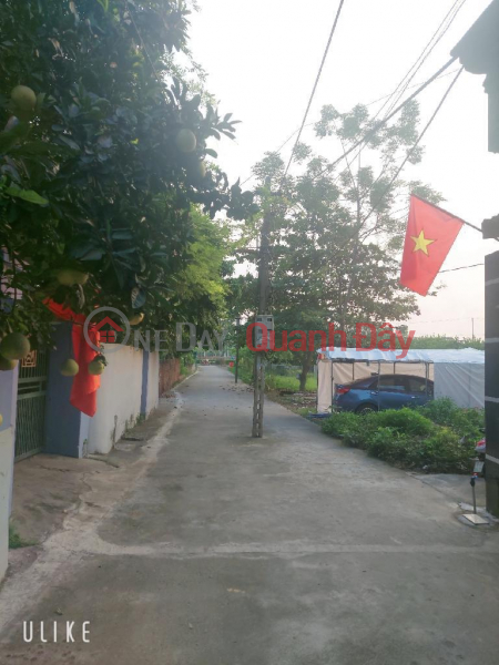 85m2 đất đẹp Đông Anh full thổ cư lung linh nắng hồng, Việt Nam Bán đ 22,5 triệu