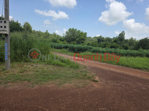HOT HOT - OWNER SELLING GARDEN HOUSE WITH GARDEN, ADJACENT TO PROVINCIAL ROAD 751, Minh Thanh, Ho Chi Minh City _0
