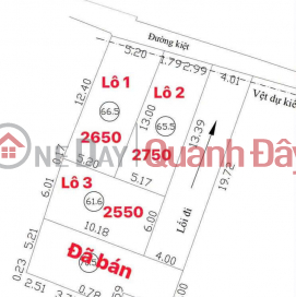 Bán cụm đất kiệt 65 Phạm Như Xương - Gần Bệnh Viện Đa Khoa Liên Chiểu _0