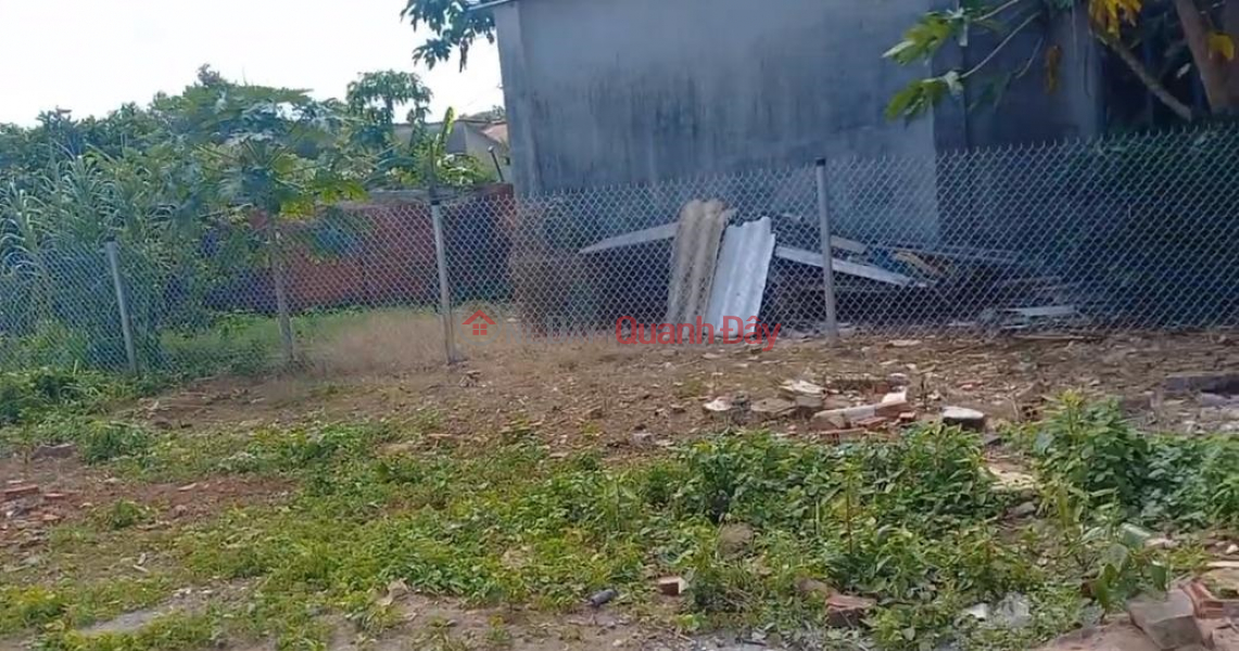 đ 1,65 tỷ, Chính chủ bán gấp đất thổ cư 272.3 m2 sẵn sổ riêng đường rộng 8m- tại Đất Đỏ, BRVT