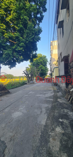 Property Search Vietnam | OneDay | Residential Sales Listings 78m2 of beautiful land in Van Noi, full residential area with 2 open sides to build a very beautiful house