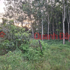 Land for sale on Phu Thuan street frontage, An Nhon Tay commune, Ho Chi Minh City (Phu My Hung commune, Cu Chi district) _0