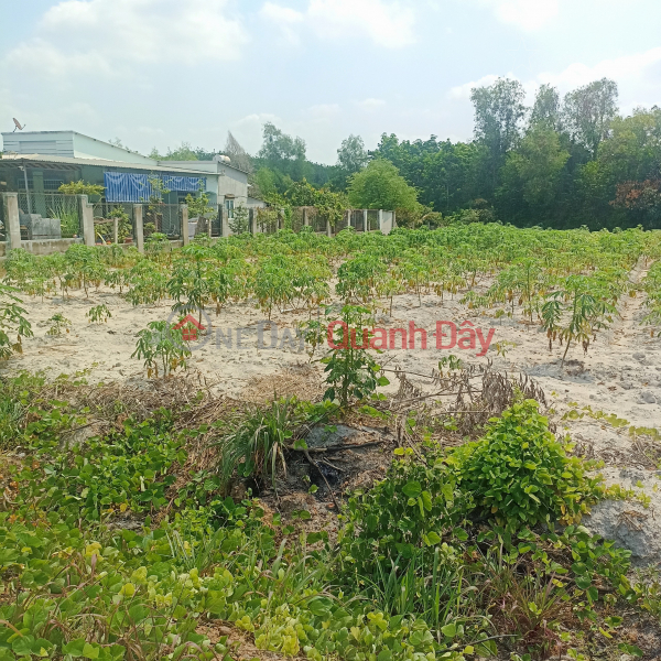 Property Search Vietnam | OneDay | Sales Listings For Sale 6m Front Street Right at Chon Thanh Town, Cheap Price