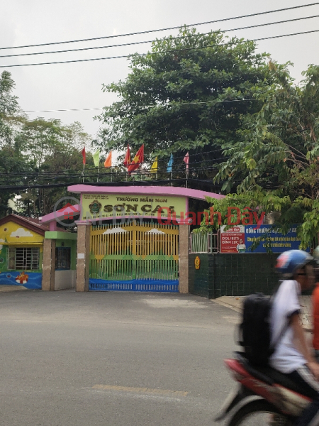 Son Ca 5 Kindergarten - 413 Tan Chanh Hiep 10 Street (Trường Mầm Non Sơn ca 5 - 413 Tân Chánh Hiệp 10),District 12 | (1)