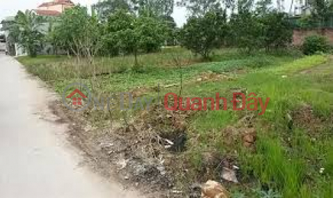 Urgent sale of garden land by owner at alley Duong Ky Hiep street, Ward 2, Soc Trang City, Soc Trang Province _0