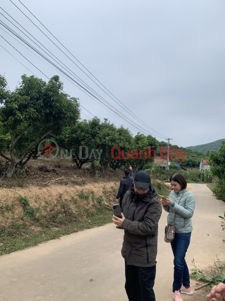 Property Search Vietnam | OneDay | Residential | Sales Listings, FOR SALE 5 PLOTS OF BEAUTIFUL VILLA WITH PROSPECT IN KIEN THANH COMMUNE-LUC NGAN-BAC GIANG