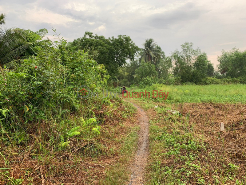 Property Search Vietnam | OneDay | Residential | Sales Listings, ️ Fragrant goods, only 2 lots left *** at Luong Hoa Ben Luc - Long An, right at Gia Mouth bridge entering