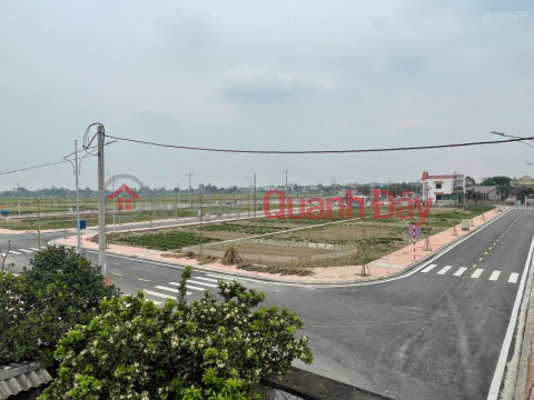 The owner sells land at auction in the residential area of Hung Loc village - Chau Tien - Quynh My - Quynh Phu - Thai Binh _0