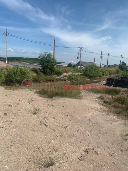 ₫ 3.9 Billion | BEAUTIFUL LAND - GOOD PRICE - For Quick Sale Land Lot Prime Location In Ly Nhon Commune, Can Gio District