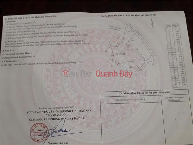 BEAUTIFUL LAND - GOOD PRICE - Owner selling land in Nong Ha, Cho Moi, Bac Can. Sales Listings