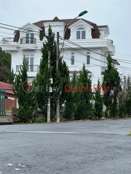 SEMI-DETACHED VILLA FOR SALE IN AN SON AREA, DA LAT - 5 BEDROOMS, WITH GARAGE, FULL FURNITURE - 19.8 BILLION Sales Listings