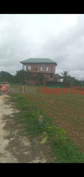 đ 380 Million, PRIME LAND - GREAT PRICE - Owner urgently needs to sell a plot of land in Phong Dien Ward, Hue City.