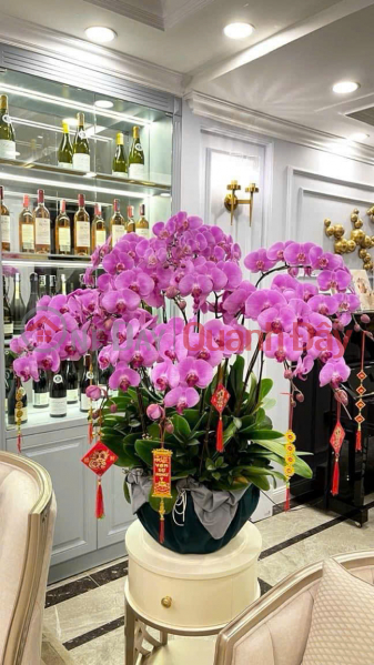  Please Select, Residential Sales Listings | đ 34.5 Billion