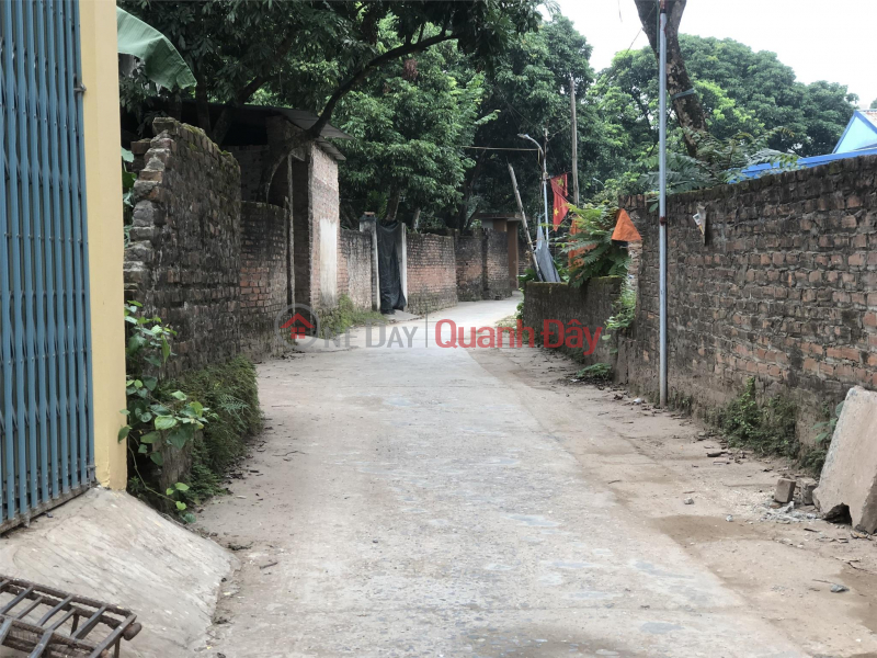 Property Search Vietnam | OneDay | Residential Sales Listings | Selling 40m2 of land in Phuong Dong, Phung Chau, near Le Van Luong planning, price 750 million.