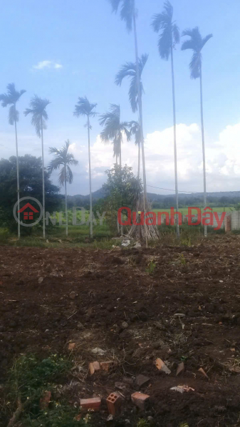 LAND FOR SALE IN EA KAO - Over 4500m2 - Residential land included - Fish pond - Field view - Perfect for building a beautiful garden house, Vietnam, Sales đ 10.5 Billion