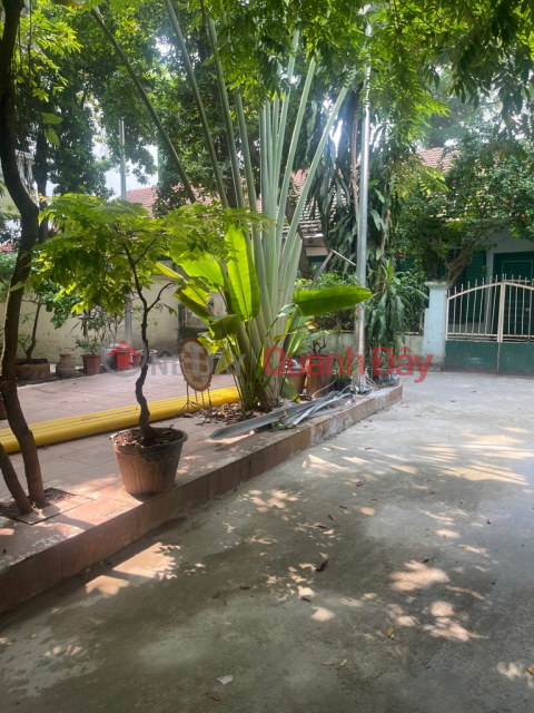 House for sale in alley of Ly Nam De street, with front yard, highly educated neighbors. _0