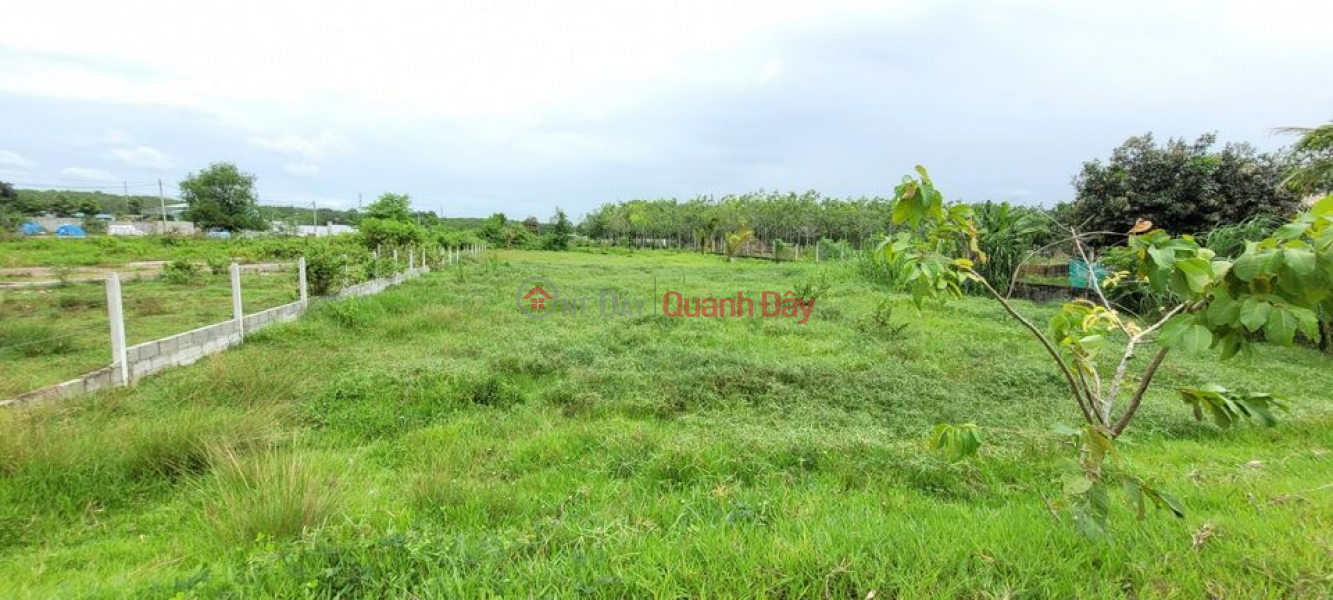Property Search Vietnam | OneDay | | Sales Listings, Land plot for sale with good location