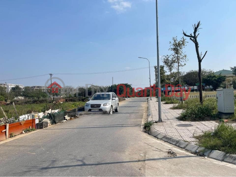 Land for sale at Hau Oai auction, Uy No Dong Anh commune, top business street surface _0