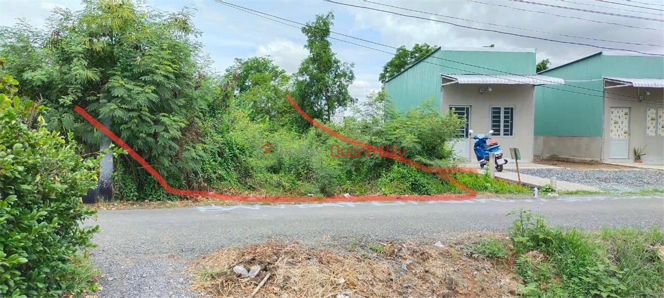 OWNER Needs to Sell Land on VH Street, Thanh Ba Hamlet, My Loc Commune, Can Giuoc, Long An | Vietnam | Sales, đ 2.75 Billion