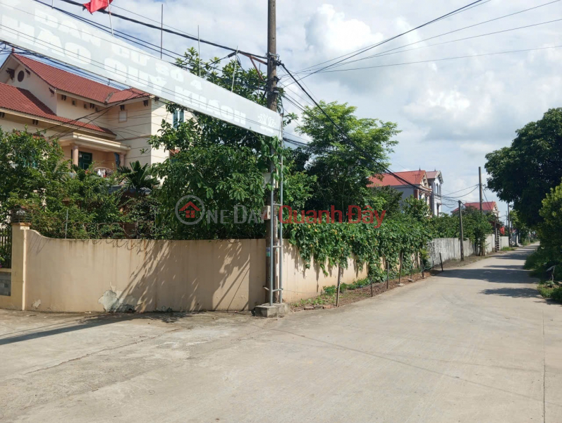 Property Search Vietnam | OneDay | Nhà ở Niêm yết bán | Bán đất Thuận Thành, Bắc Ninh. 85m2 * mt 5,9m * 2,48 tỷ. Lô góc, ô tô tránh