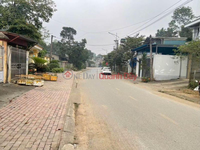 OWNER SELLING 3,266M2 LAND WITH TITLE DEED IN THE CITY CENTER, RIGHT ON DINH TIEN HOANG STREET Sales Listings
