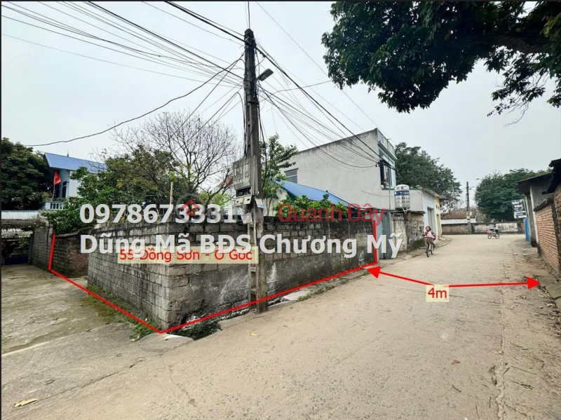 CORNER LOT WITH 2 FACES AT DONG SON-CHUONG MY Sales Listings