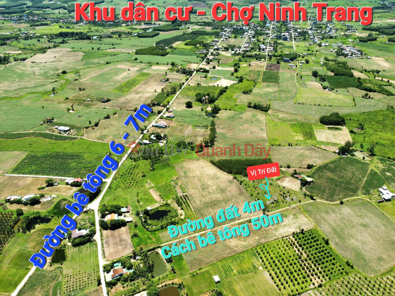 Bán nhanh các lô đất Ninh Thượng làm nhà vườn Việt Nam Bán, đ 260 triệu