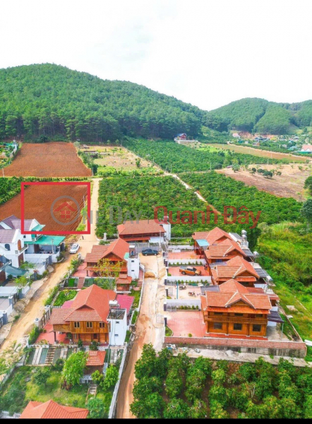 Property Search Vietnam | OneDay | Nhà ở Niêm yết bán Đất Đẹp - Giá Tốt - Chính Chủ Cần Bán Lô Đất Vị Trí Đẹp Tại thôn 2 Mê Linh, Lâm Hà, Lâm Đồng