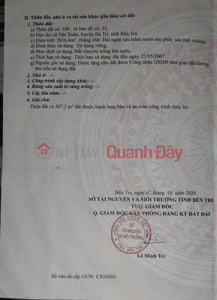 OWNER Need Money Urgently Sells Rice Plot According to Certificate In Tan Xuan, Ba Tri, Ben Tre (old) | Vietnam, Sales đ 525 Million