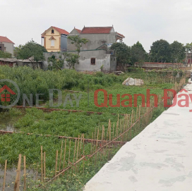 Land for sale in Gia Binh, Bac Ninh. 100m2 * frontage 5m * 1.65 billion. Car parking, full residential land _0