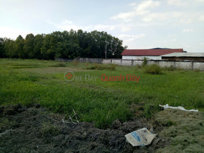 đ 6.56 Billion, LAND LOT IN GOOD LOCATION - GOOD PRICE, NEED TO SELL QUICKLY 4 adjacent plots of land in Cu Chi district, HCMC