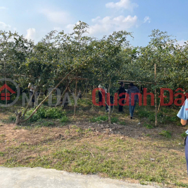 LAND PLOT IN CHŨ, BAC NINH, PRICE 630 MILLION VND, 450M2, EXISTING RESIDENTIAL AREA. Nguyen Hung Real Estate - 0989333012 _0