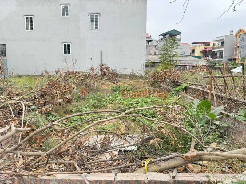Property Search Vietnam | OneDay | Nhà ở Niêm yết bán | Bán Đất Vị Trí Vàng - Tổ Dân Phố 9, Thị Trấn Quang Minh, Mê Linh, Hà Nội