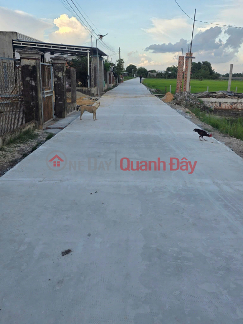 Đất An Thuận, An Ninh Đông - 165m2 thổ cư full, mặt tiền đường bê tông, giá 665 triệu _0