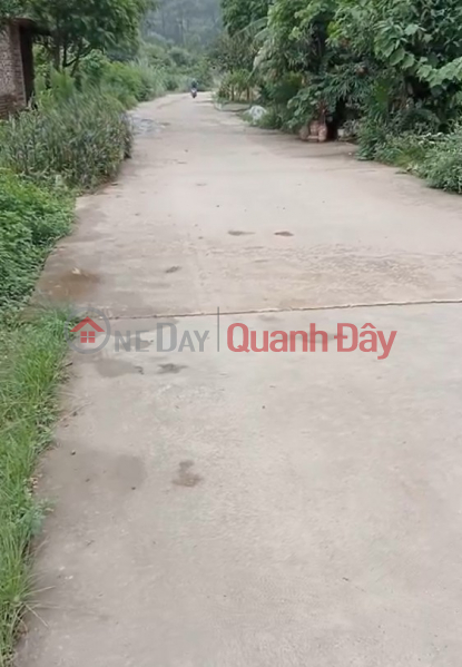 Property Search Vietnam | OneDay | Nhà ở Niêm yết bán | Chính chủ cần bán lô đất vàng siêu đẹp tại Sóc Sơn - Giá chỉ 12 triệu m2 - Vị trí đắc địa