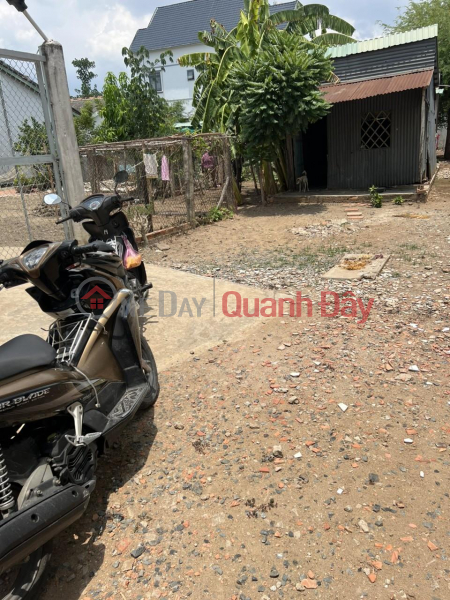 Property Search Vietnam | OneDay | Residential Sales Listings | BEAUTIFUL LAND - GOOD PRICE - Owner For Sale Land Plot Hamlet 2, My Yen Commune, Ben Luc, Long An