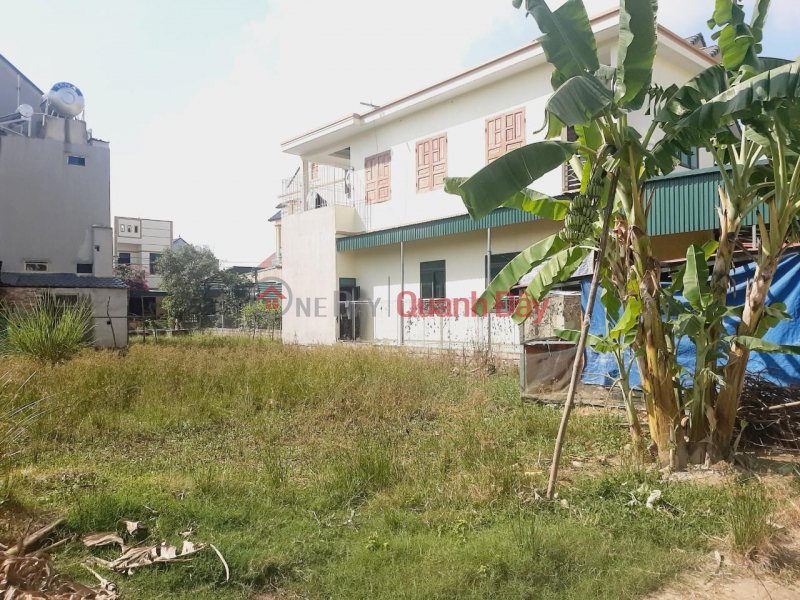 BEAUTIFUL LAND - GOOD PRICE - OWNER NEEDS MONEY TO SELL LAND LOT IN Thieu Hoa district, Thanh Hoa province, Vietnam | Sales ₫ 690 Million