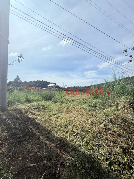 Property Search Vietnam | OneDay | Nhà ở, Niêm yết bán | ĐẤT ĐẸP- GIÁ TỐT CHÍNH CHỦ CẦN BÁN NHANH LÔ ĐẤT TIỀM NĂNG TẠI huyện Bảo Lâm, tỉnh Lâm Đồng