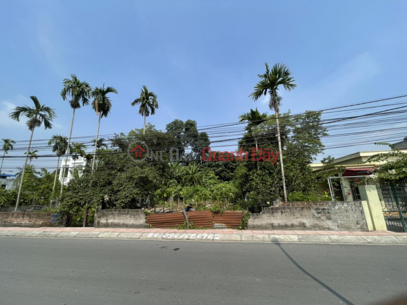 BEAUTIFUL LAND - GOOD PRICE - Owner Needs to Sell Land Lot with Beautiful Location In An Duong Town, Hai Phong Vietnam | Sales | đ 3 Billion