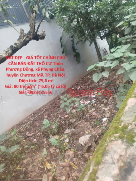 ĐẤT ĐẸP - GIÁ TỐT CHÍNH CHỦ CẦN BÁN ĐẤT THỔ CƯ -xã PHỤNG CHÂU, CHƯƠNG MỸ, HÀ NỘI Niêm yết bán