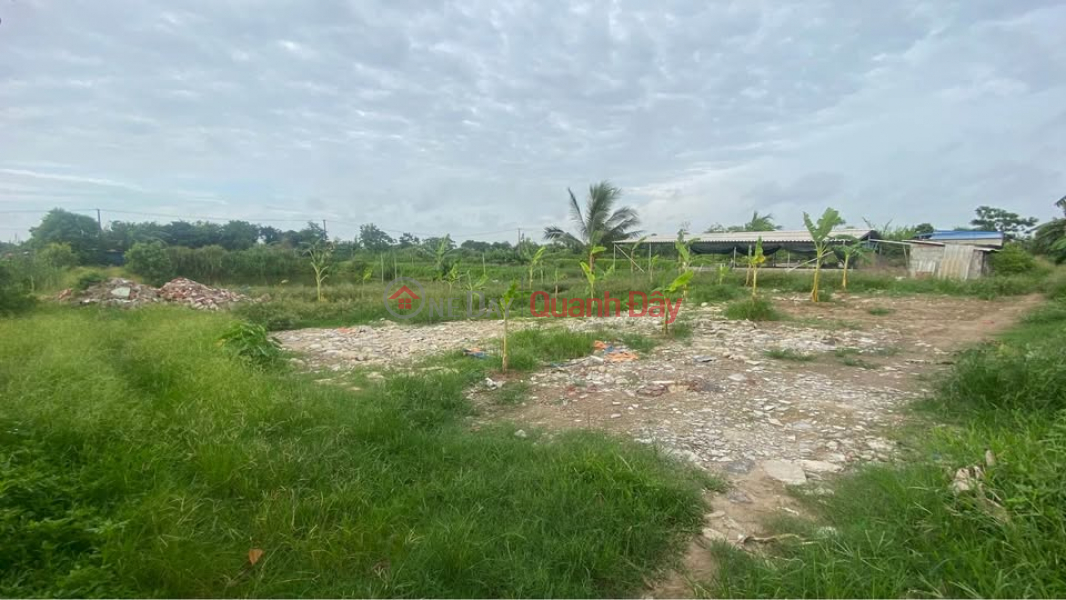Property Search Vietnam | OneDay | Residential | Sales Listings, Need to sell quickly Pond Land Plot in Nam Van - Nam Dinh City.