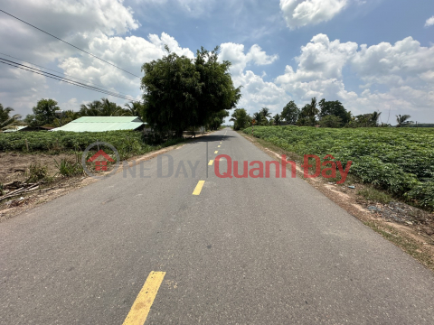 BEAUTIFUL LAND OWNER DT785B Tan Hoi street, Tan Chau, Tay Ninh - 2km from Tan Hoi Industrial Park _0