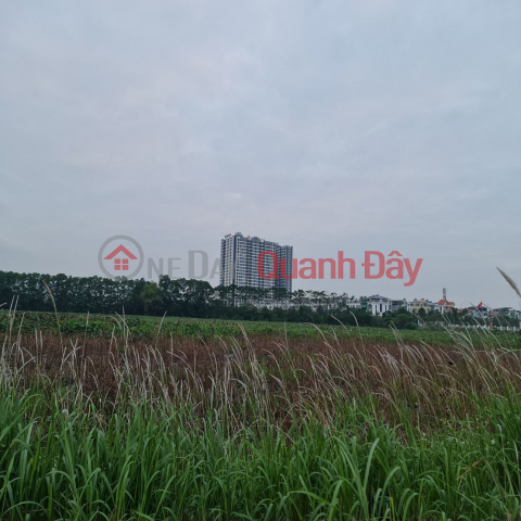 22 tỷ x có tòa văn phòng 82m2, 5 tầng mặt phố 25m tại Trâu Quỳ, Gia Lâm, Hà Nội. _0