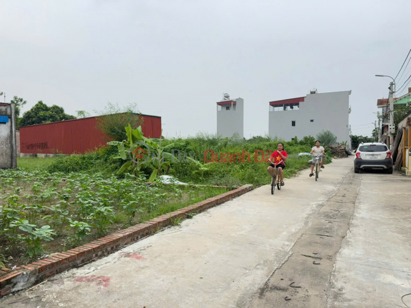 Property Search Vietnam | OneDay | Residential | Sales Listings | Beautiful land for sale in Ap Tre village, (Group 9) - Quang Minh commune, Hanoi city. Near industrial park, CD school