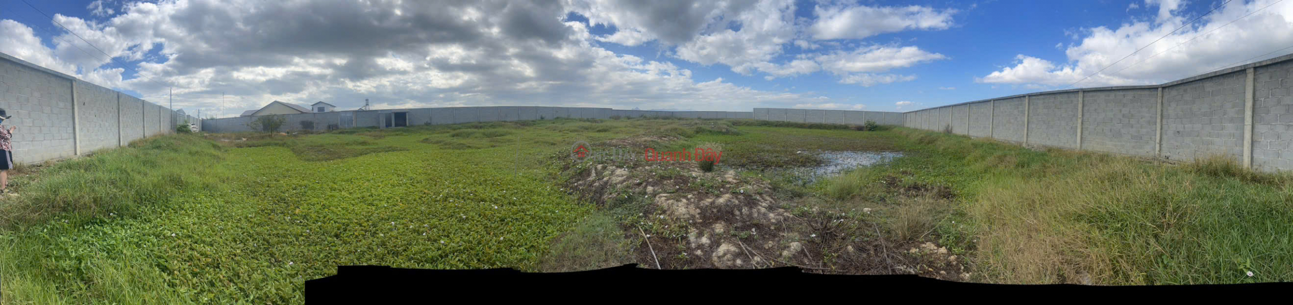 Property Search Vietnam | OneDay | Residential Sales Listings BEAUTIFUL LAND - GOOD PRICE - OWNER NEEDS TO SELL LAND LOT IN Phuoc Hau Commune, Ninh Phuoc District - Ninh Thuan.